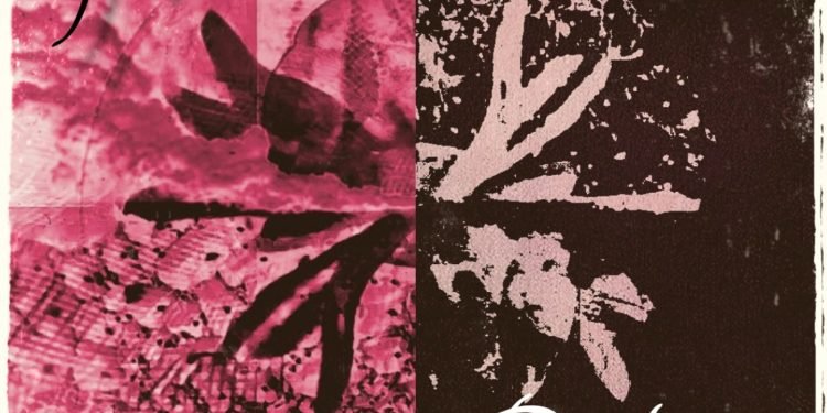 “Attraction and Repulsion”  Bloom Tune Music Video By Airship Caravan