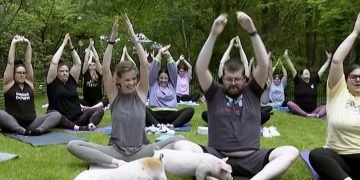 Are Americans Going Insane? By Howard Bloom